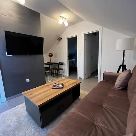 Ortak דירה בלגרד